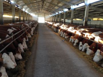 ÇERKEŞ СҮҮНИЙ НЭГДСЭН ТӨСӨЛ АМЖИЛТТАЙ ДУУСЛАА